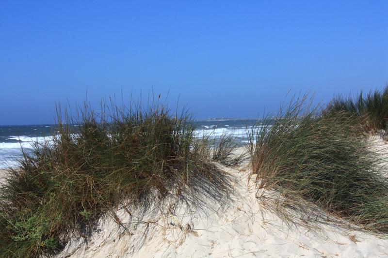 570-Costa Nova,30 agosto 2012.JPG